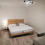 Apartman Vehlovice *